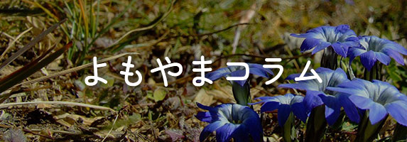よもやまコラム
