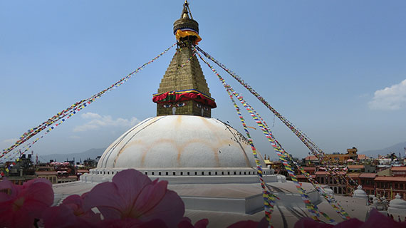 ネパール基本情報